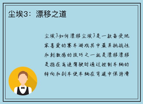 尘埃3：漂移之道